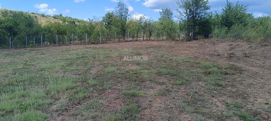 Terenuri cu suprafete intre 500 si 1500 mp in Baicoi, zona Liliesti. - 16