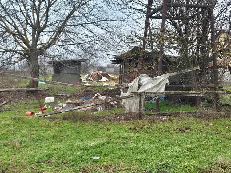 Teren Branesti Islaz Propietar - 3