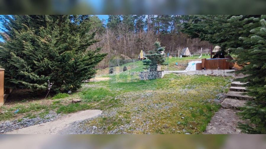 COMISION 0%! Casă 140 mp util, teren 4500 mp, PET FRIENDLY, Micești - 30