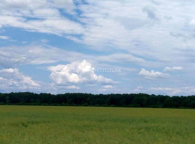 MOARA VLASIEI TEREN 12700 IDEAL INVESTITIE - 4