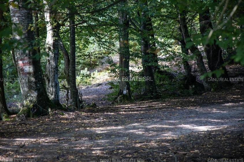 Teren Intravilan 3.300 mp in fata lacului  – Vulcan Brasov - 17