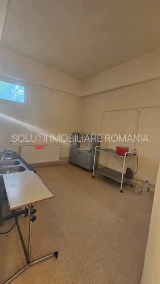 Spațiu comercial de vânzare - Alexandru cel Bun (Basarabi nr. 5A) - 6