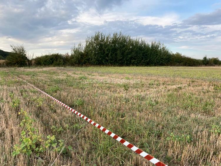 Teren cu vedere la Padure, rate 2-3 ani, 621mp, in zona Paradisul Verde - 10