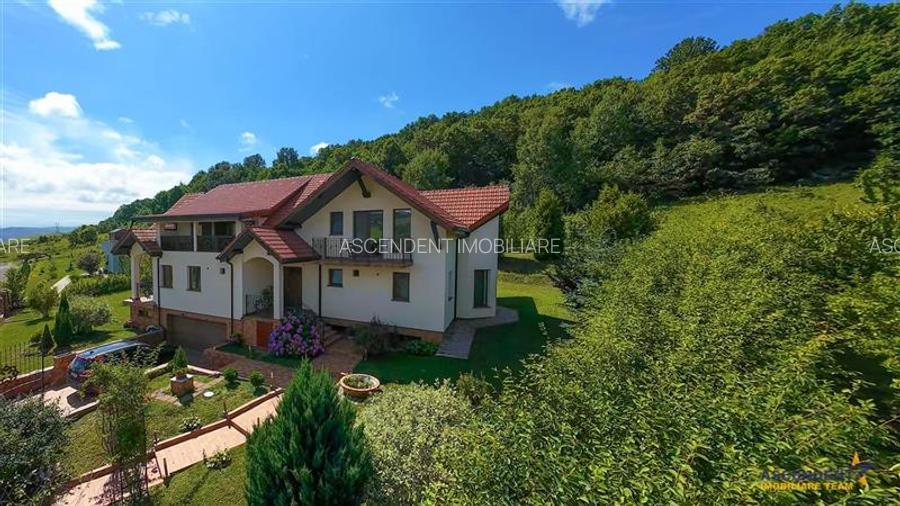 Refined ensemble, elite natural setting, 5 km from Corvin Castle. - 13