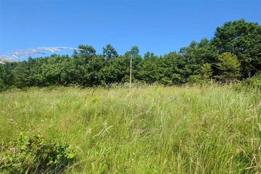 Teren intravilan de vanzare  in Luncoiu de Jos, sat Luncoiu de Sus, 3000 mp - 2