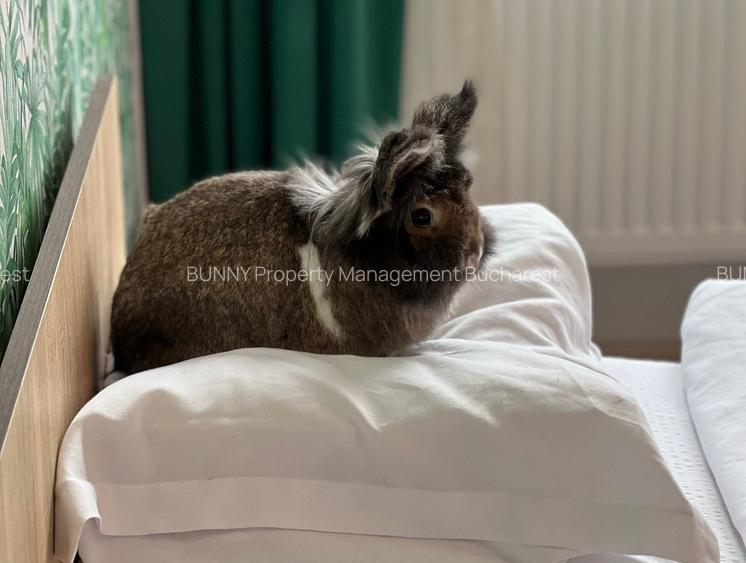 Unirii/Calea Victoriei: 1.5 Room Charming Boho Oasis – 36 m² SU | AN541-11B-Et5 - 17