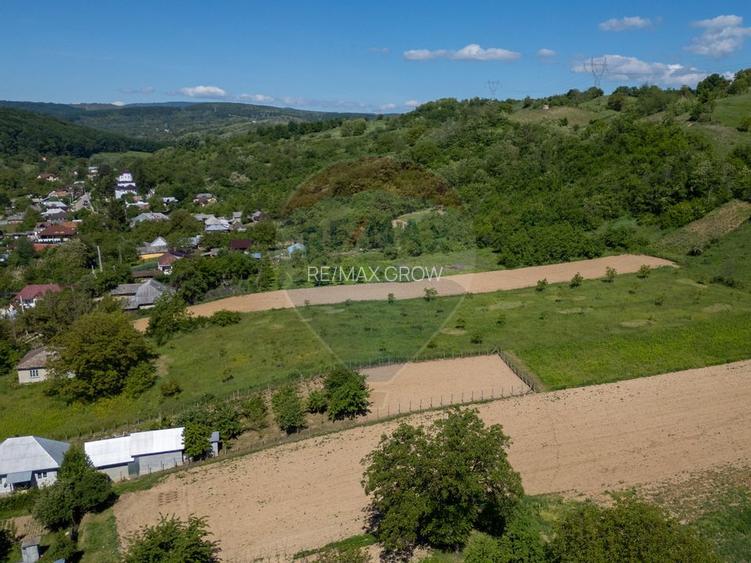 Teren 11.317 mp situat in Parava - Dragusani - Bacau - 2