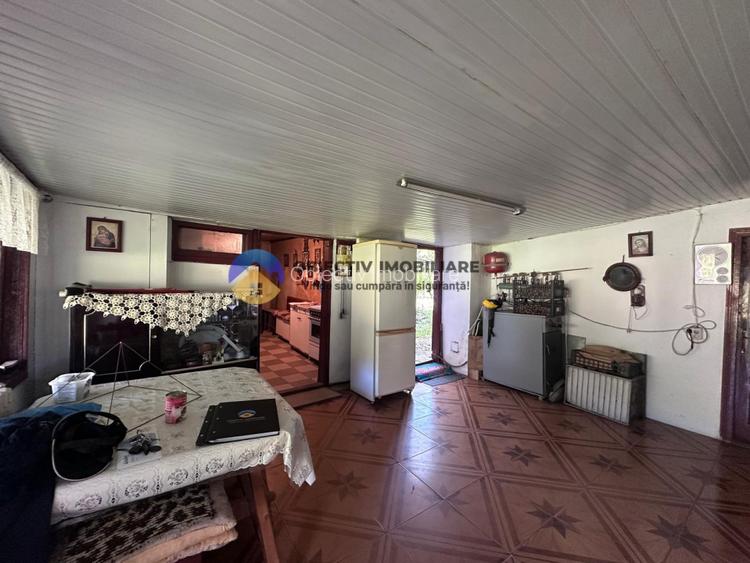 Casa tradițională de vânzare - Alexandru cel Bun - 19