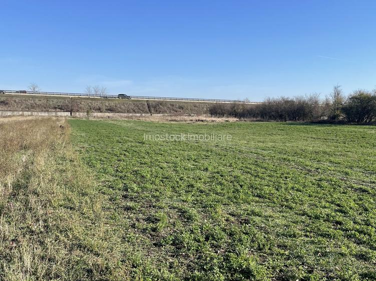 Teren 4316 mp Giarmata Vii-zona mica industrie, depozitare si servicii - 4