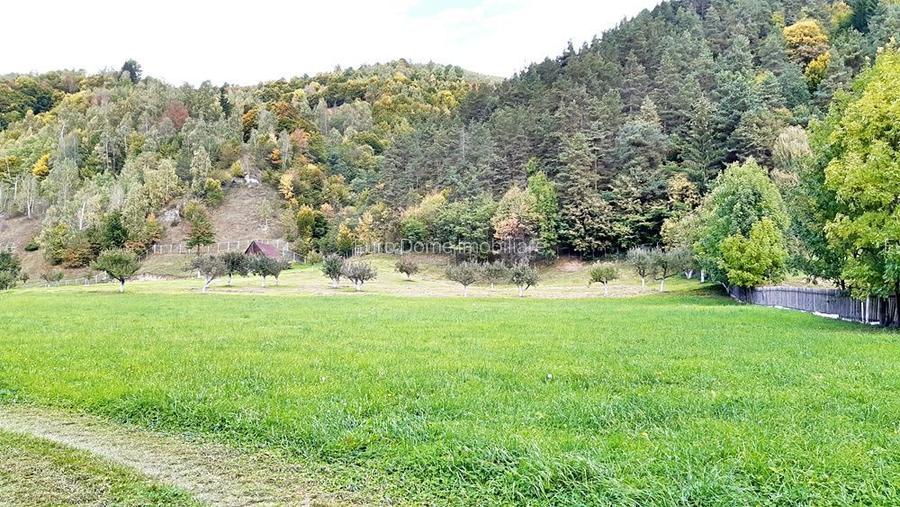 Teren superb de 16240mp, parcelabil, in Bran la intrare in Moeciu de Jos - 2