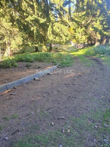 Teren Construcții intravilan de 2000 mp, în Poiana Brașov - 11