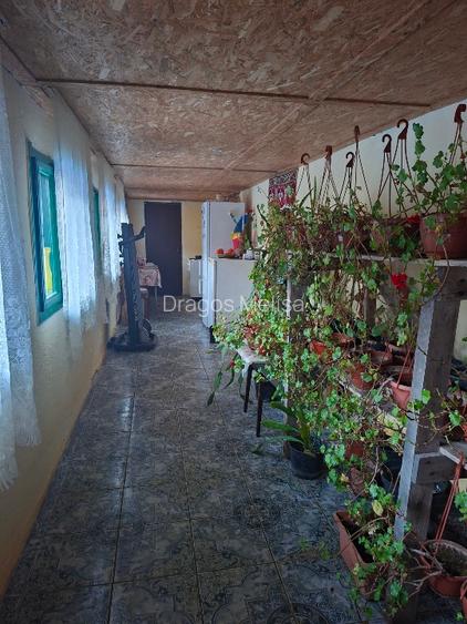 Vand casa cu teren ....... - 3