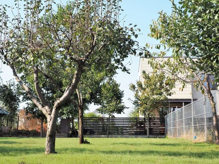 Teren 800 mp Băneasa – PUD aprobat – Construiești imediat - 4