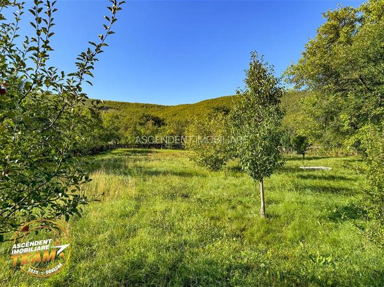 FILM! Proprietate traditionala,de poveste,cu 3.000 mp teren intravilan,Zagon,Cov - 30