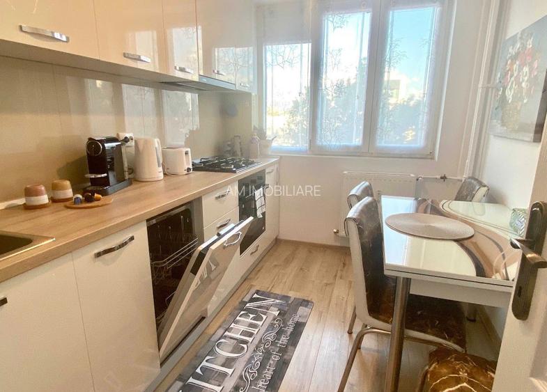 AP. 2 CAMERE BABA NOVAC, CAT-FRIENDLY, BOILER, MODERN, METROU 5 MINUTE - 5