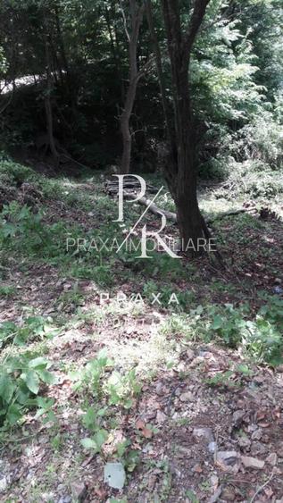 Teren de vanzare 10.000 mp/ parcelabil, cu utiitati, 4 euro/ mp! Maguri Racatau! - 14