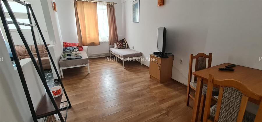 Cazare muncitori garsoniere/apartamente la curte in Vladimirescu - 7