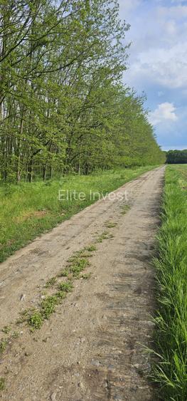 Teren intravilan - 4752 mp - 8 loturi de 594 mp - com Gruiu-Lipia - km 31 A3 - 6