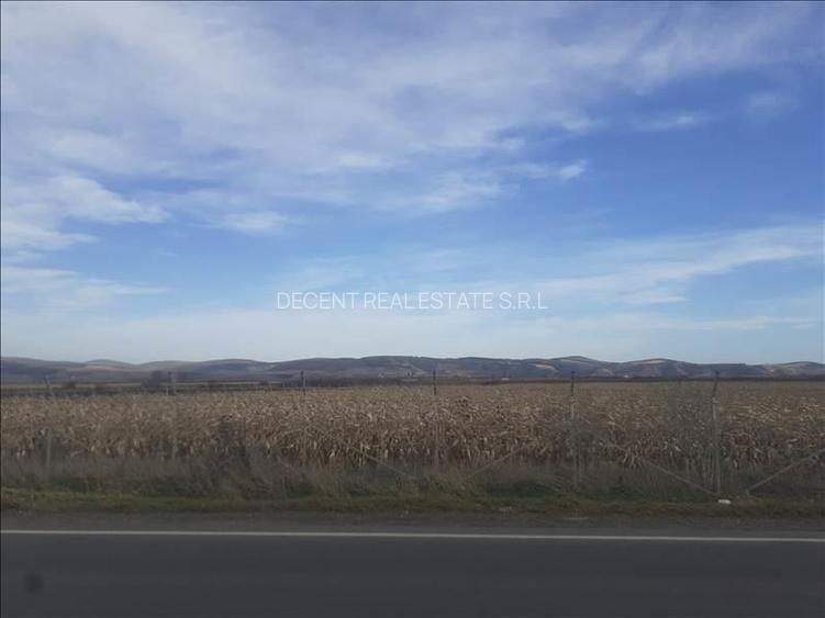 Vanzare teren intravilan, Feldioara, Brasov - 12