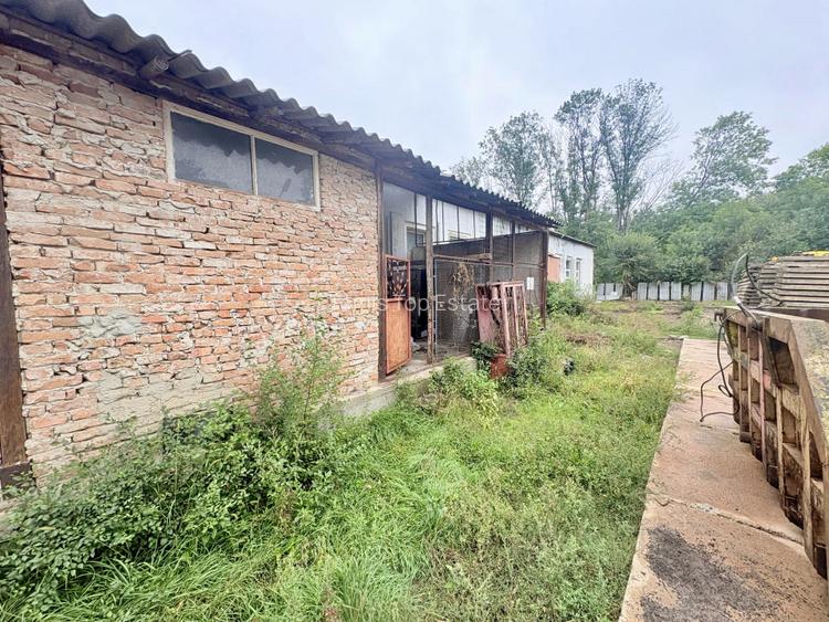 Teren in mijlocul padurii Valu lui Traian 1875 mp si cladire 450 mp hala - 6