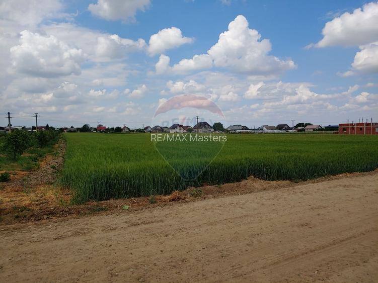 Teren intravilan 6,600mp Dumbraveni / Strada Principala spre Veresti - 11