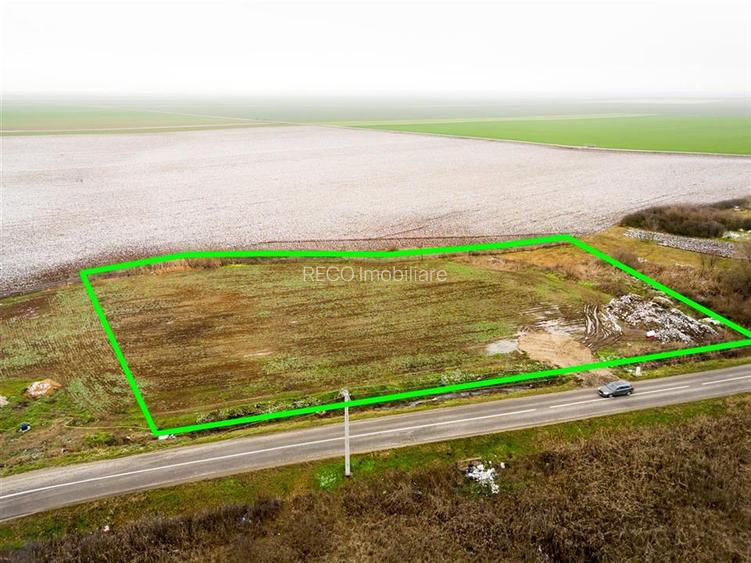 RECO . Teren extravilan  5000mp  , 110ml front . - 4