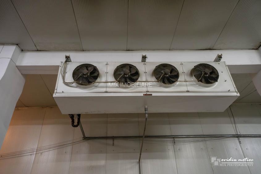 Depozit refrigerare 405 mp si birouri - 6