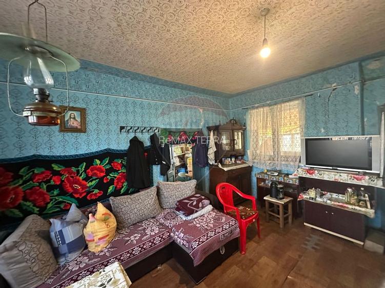 GOSPODARIE - liniste - natura - DE VANZARE - 3