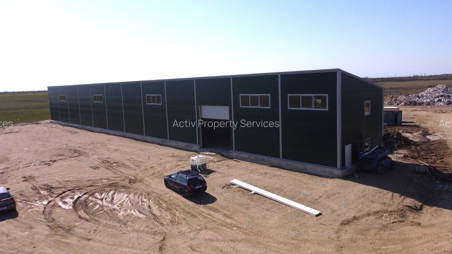 Spațiu industrial de inchiriat Parcul Industrial Sânandrei Timișoara - 3