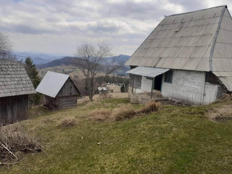 Vind casă și teren în satul Costești, comuna Albac județul Alba   - 4