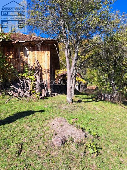 Teren extravilan in localitatea Bulz - 10