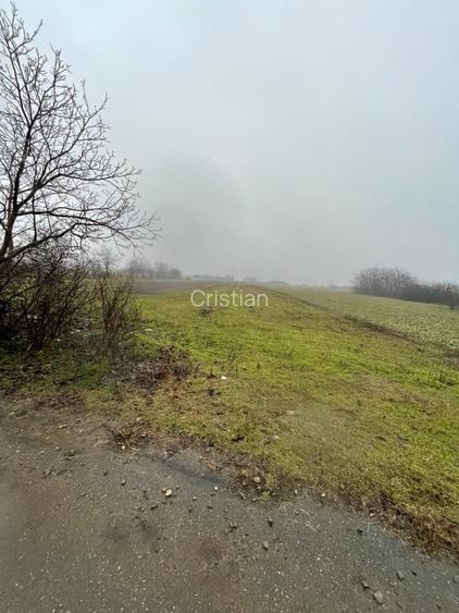 Teren intravilan + extravilan - 5