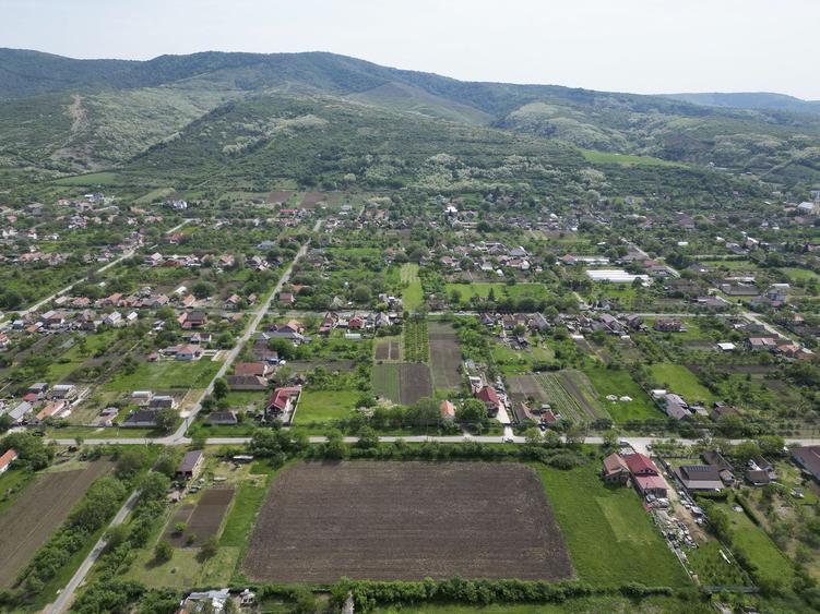 Teren Intravilan de 3,090 mp în Cuvin
