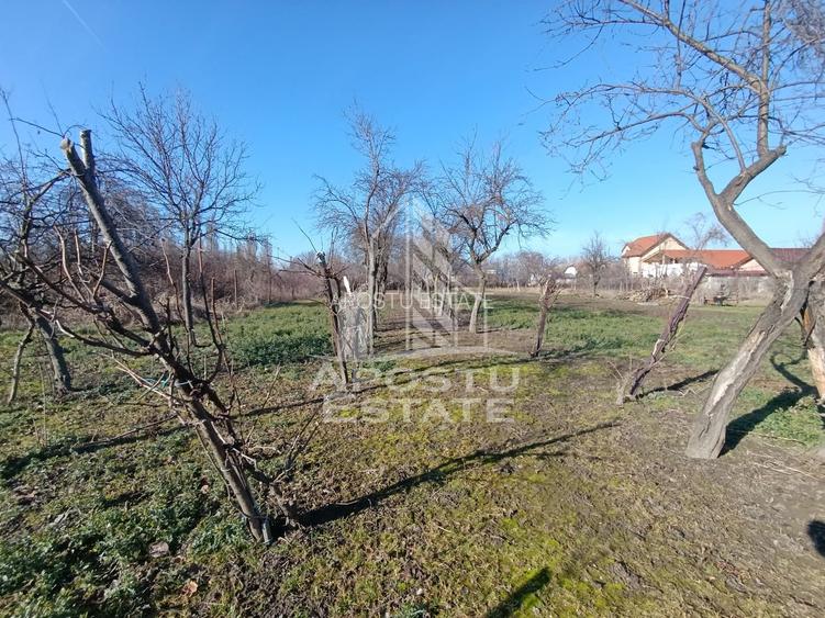 Casa individuala cu teren generos 2158mp, front 12m, livada, Freidorf - 49