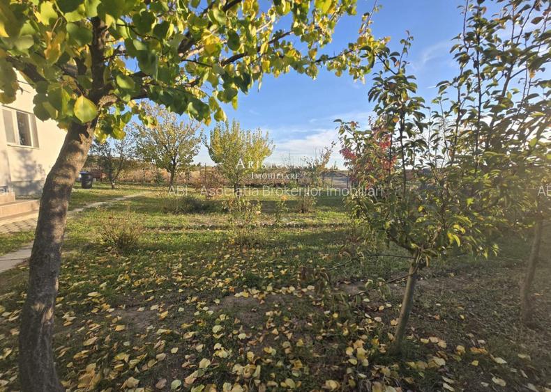 Casa 3 camere si curte cu pomi fructiferi - 14