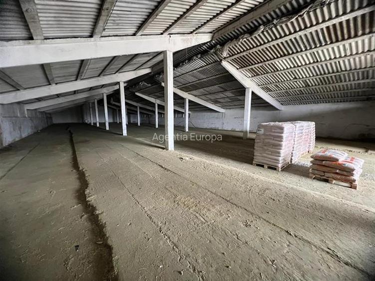 Hale de inchiriat localitatea M. Kogalniceanu Tulcea - 4