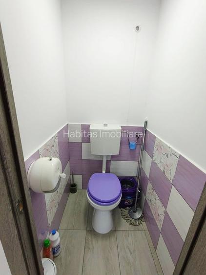 Casa individuala S+P+M cu teren 1723 mp, zona linistita, in Grigorescu - 15