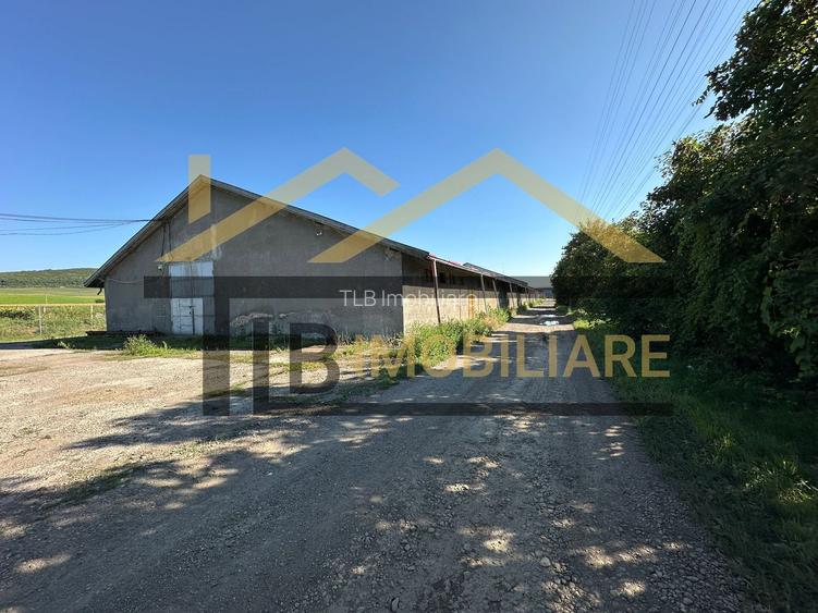 Spatiu industrial de inchiriat/vanzare/ 2052mp/ Zona Ernei - 2