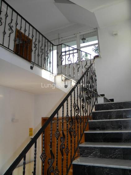 Vila spatioasa de inchiriat Vatra Luminoasa - 13