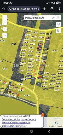 RECO Teren intravilan - vedere panoramica asupra lacului Paleu - 3