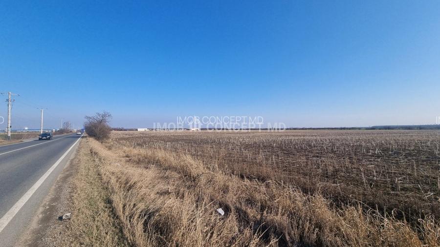 Vanzare Teren Extravilan 11000 mp, in Aricestii Rahtivani, Jud Prahova - 5