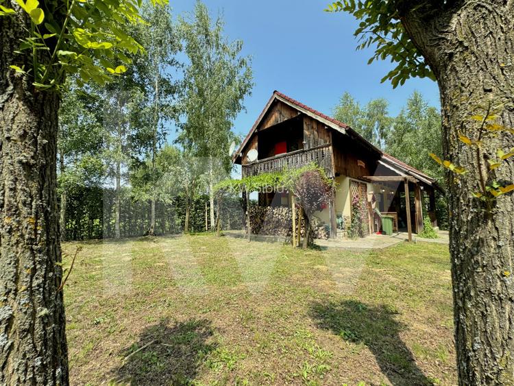 Cabana / Casa 4 camere + teren 610mp Valea Avrigului utilata mobilata - 8