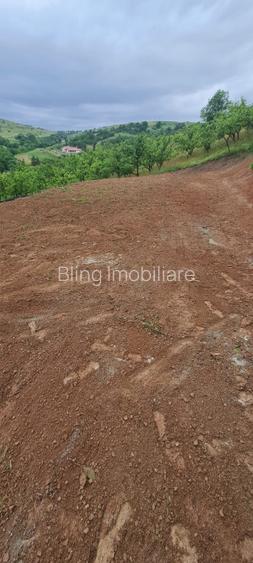 Teren intravilan, 729mp, Suceagu, Cluj - 2