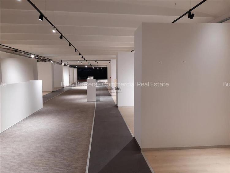 Spatii Comerciale - 500 mp - Showroom - Comert - 19