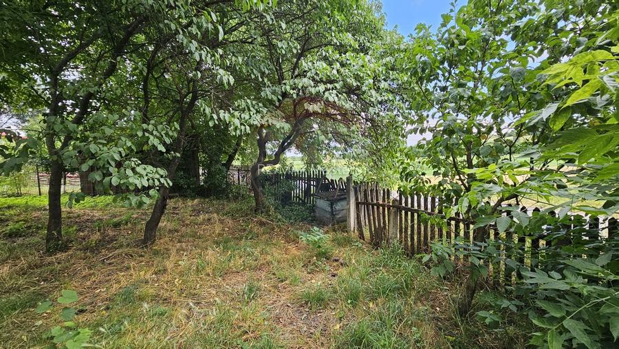 Casa  de vânzare cu teren 9200 mp, Pădureni-Șendriceni, Botoșani - 15