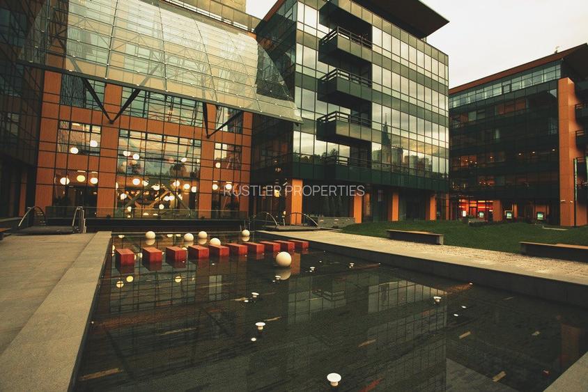 Spatiu de birou pentru inchiriat in cladirea myhive S-PARK - Casa Presei-Miorita - 8