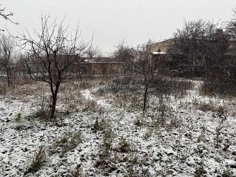 Vand gospodarie taraneasca traditionala - 3