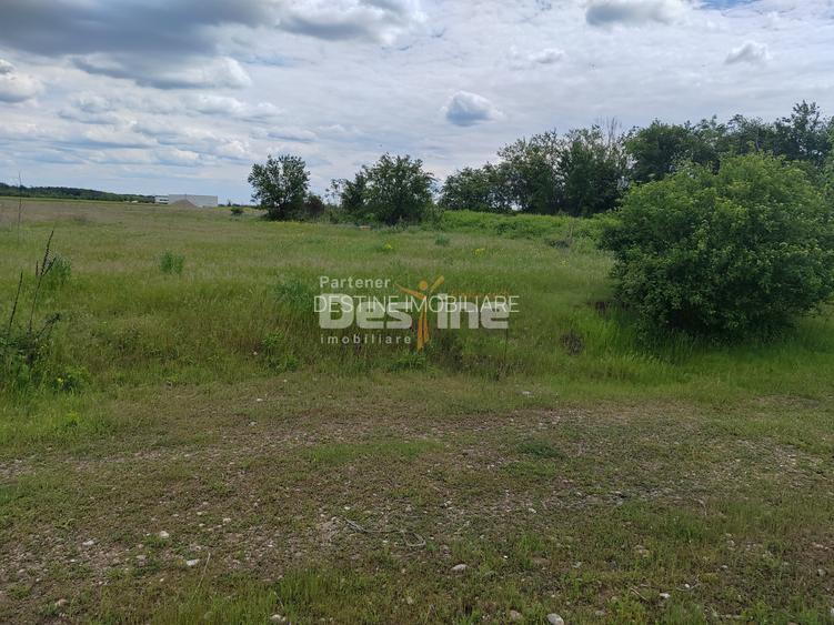 Teren extravilan, 114000 mp, Parc industrial West Park - 12