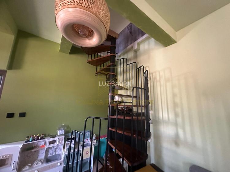 Vanzare - Proprietate cu Potential-Locuinta si Business - 27