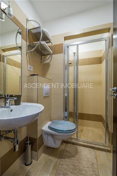 Proprietate prezentare preferentiala, purtatoare profit, Central, Brasov - 17